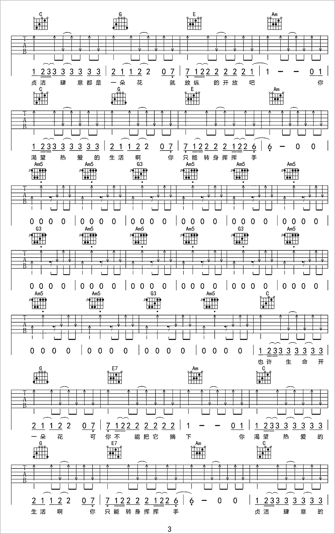 过期荷尔蒙吉他谱3-赵照
