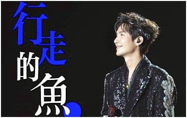 行走的鱼吉他谱_陈楚生-宝石GEM-李玖哲_C调指法原版编配