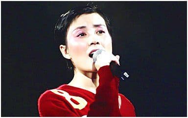 人间吉他谱_王菲_C调指法原版弹唱谱