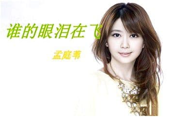 谁的眼泪在飞吉他谱_孟庭苇_C调指法弹唱谱图片