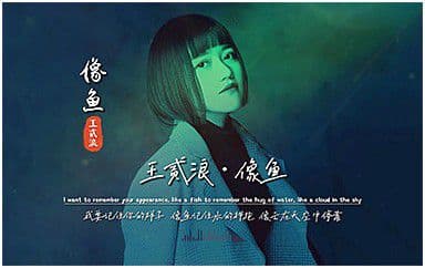 像鱼吉他谱_王贰浪_C调指法原版弹唱谱