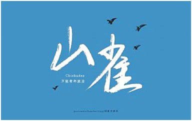 山雀吉他谱_万能青年旅店_C调指法扫弦版