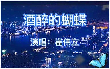 酒醉的蝴蝶吉他谱_崔伟立_G调指法弹唱谱图片