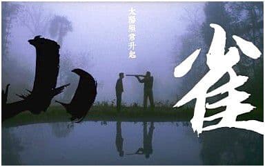 山雀吉他谱_万能青年旅店_C调扫弦版