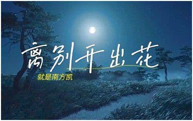 离别开出花吉他谱_就是南方凯_G调原版