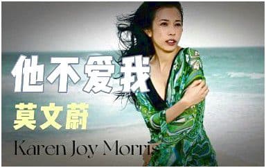 他不爱我吉他谱_莫文蔚_G调指法原版弹唱谱