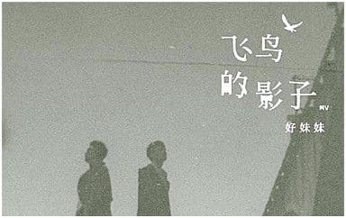 飞鸟的影子吉他谱_好妹妹乐队_G调指法弹唱谱图片