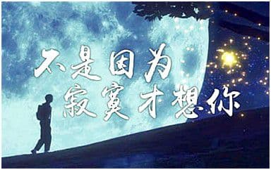不是因为寂寞才想你吉他谱_王小帅-TRY_C调原版