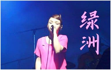 绿洲吉他谱_沈以诚-徐佳莹_C调指法弹唱谱图片