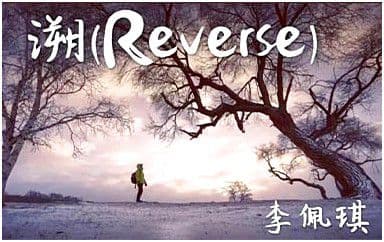 溯Reverse吉他谱_李佩琪_C调指法原版弹唱谱