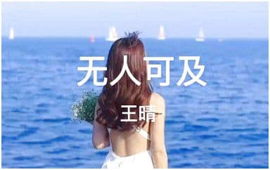 无人可及吉他谱_王晴_C调指法原版弹唱谱