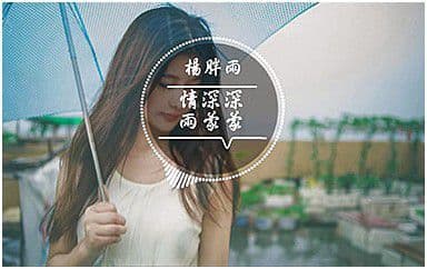 情深深雨蒙蒙吉他谱_杨胖雨_G调指法简单版