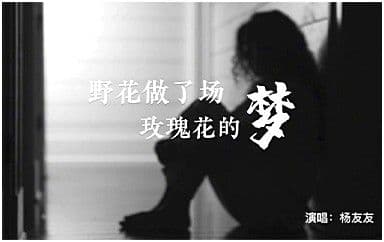 野花做了场玫瑰花的梦吉他谱_杨友友_C调原版