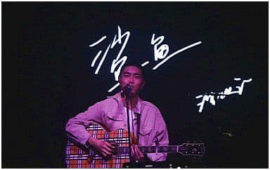 鲨鱼吉他谱_沈以诚_C调指法原版弹唱谱