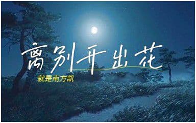 离别开出花吉他谱_就是南方凯_G调指法弹唱谱
