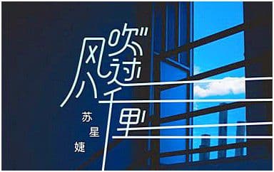 风吹过八千里吉他谱_苏星婕_G调指法弹唱谱图片