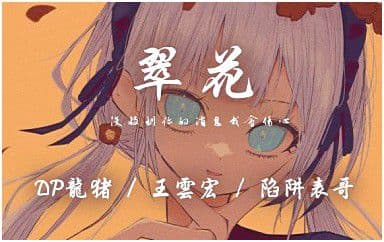 翠花吉他谱_DP龙猪-王云宏-陷阱表哥_G调