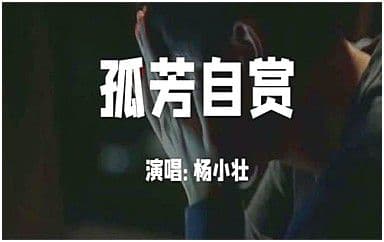 孤芳自赏吉他谱_杨小壮_C调指法原版弹唱谱