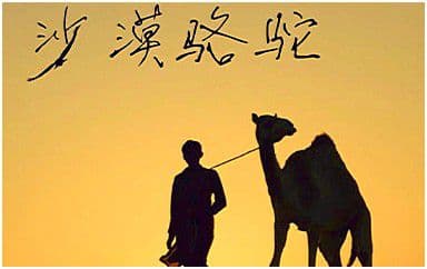 沙漠骆驼吉他谱_展展与罗罗_C调弹唱六线谱