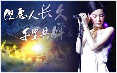 但愿人长久吉他谱_王菲_C调简单版