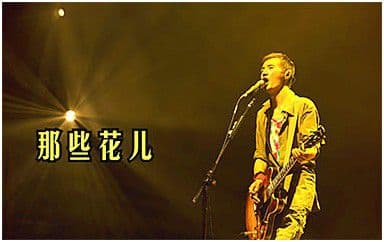 那些花儿吉他谱_朴树_C调指法简单版弹唱谱