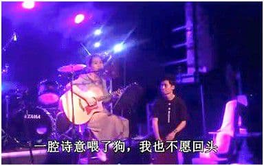 一腔诗意喂了狗吉他谱_花粥_G调简单版