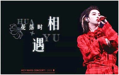 花落时相遇吉他谱_华晨宇_C调指法弹唱谱图片
