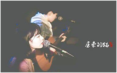 你是我最愚蠢的一次浪漫吉他谱_房东的猫_C调