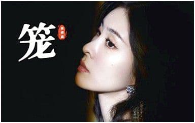笼吉他谱_张碧晨_C调指法原版六线谱