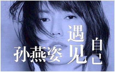 遇见吉他谱_孙燕姿_C调指法弹唱谱图片