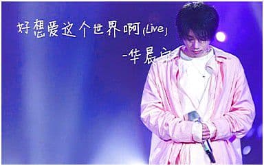 好想爱这个世界啊吉他谱_华晨宇_C调简单版