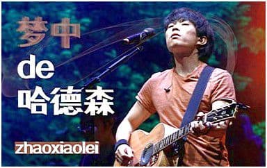 梦中的哈德森吉他谱_赵雷_C调指法弹唱谱图片