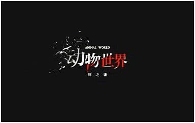动物世界吉他谱_薛之谦_C调指法弹唱谱图片
