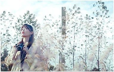 飞鸟和蝉吉他谱_任然_G调指法原版弹唱谱