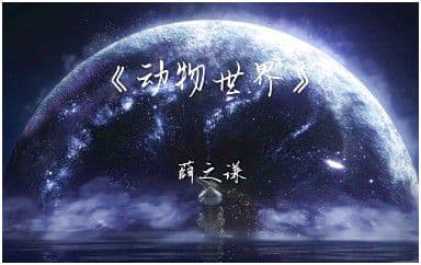 动物世界吉他谱_薛之谦_C调指法原版弹唱谱