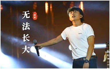 无法长大吉他谱_赵雷_C调指法原版弹唱谱
