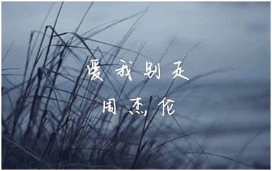 爱我别走吉他谱_周杰伦/张震岳_C调原版弹唱谱