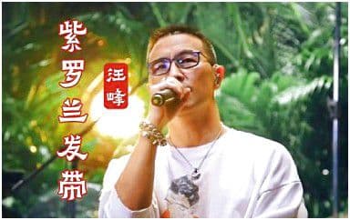 紫罗兰发带吉他谱_汪峰_G调指法弹唱谱