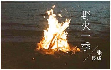 野火一季吉他谱_张良成_C调指法弹唱谱