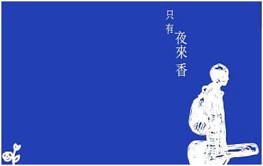 只有夜来香吉他谱_卢广仲_D调指法弹唱谱图片