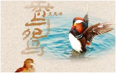 鸳鸯吉他谱_王天冲_G调指法弹唱谱图片