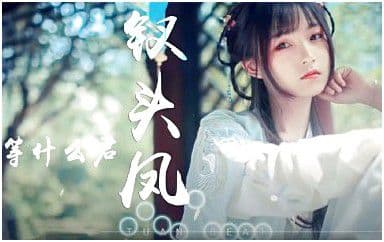 钗头凤吉他谱_等什么君_C调指法原版弹唱谱