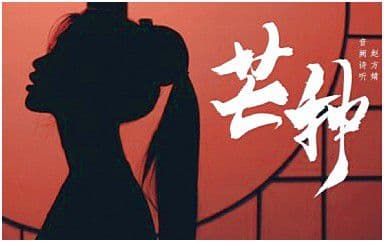 芒种吉他谱_音阙诗听-赵方婧_G调拍弦版