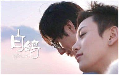 白鸽吉他谱_你的上好佳_C调指法原版弹唱谱