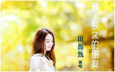 爱了很久的朋友吉他谱_田馥甄_C调指法弹唱谱图片