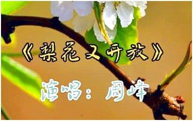 梨花又开放吉他谱_周峰_C调指法原版弹唱谱