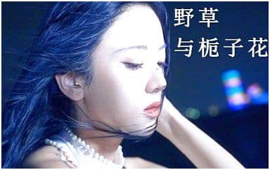 野草与栀子花吉他谱_林三七_G调指法弹唱谱图片