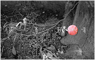 小翅膀吉他谱_声音玩具_C调指法扫弦版