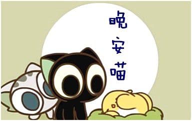 晚安喵吉他谱_艾索_C调指法弹唱谱