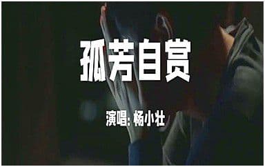 孤芳自赏吉他谱_杨小壮_G调指法原版弹唱谱
